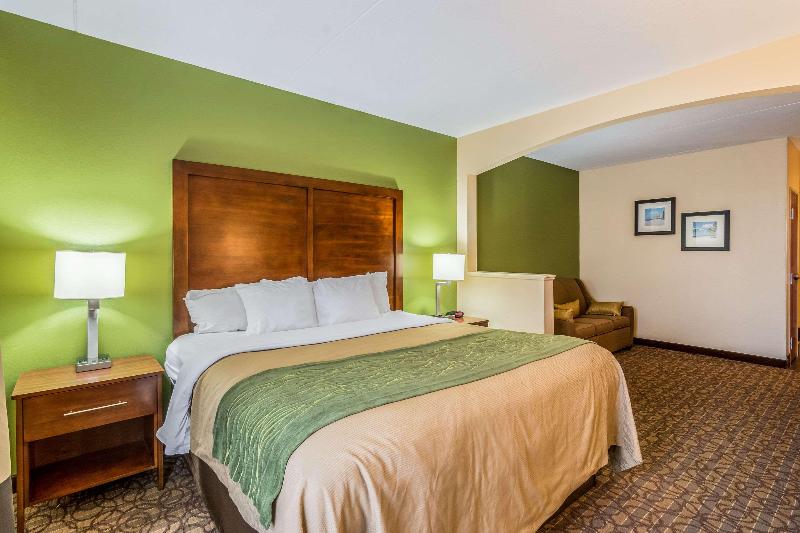 Comfort Inn & Suites Panama City North - photo 43