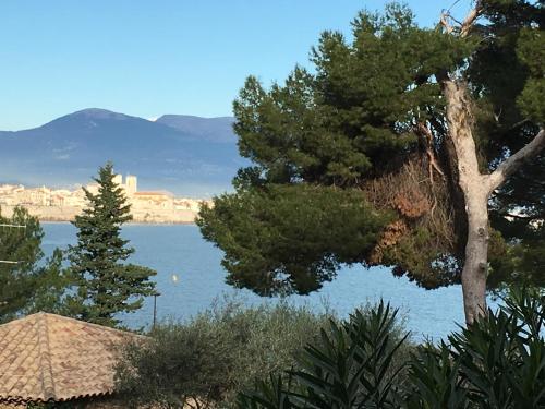 Cap Antibes Les Bosquets in Antibes, France