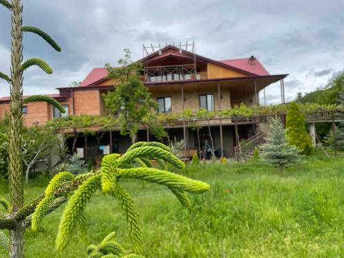 Mirioni in Unknown City, Georgia