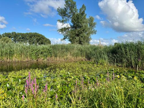 IJsselgoud in Zwolle, Netherlands