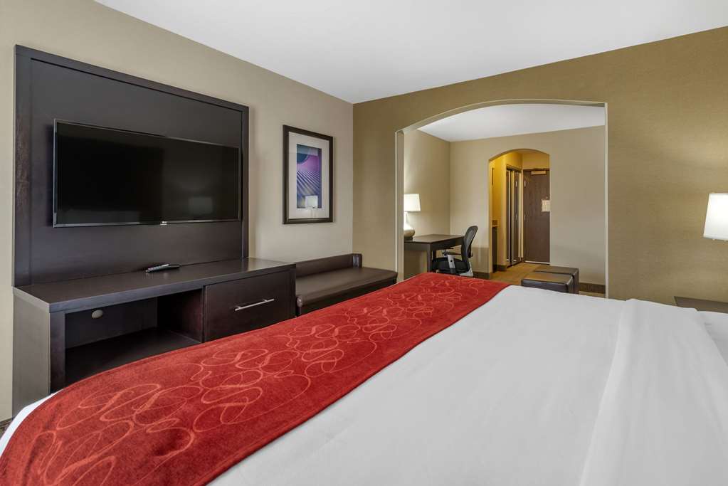 Comfort Suites Highlands Ranch Denver Tech Center Area - photo 6