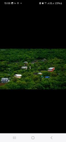 Gudaleti Palace in Unknown City, Georgia