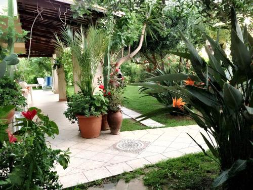 Charming House with Pool — Parghelia — photo 5