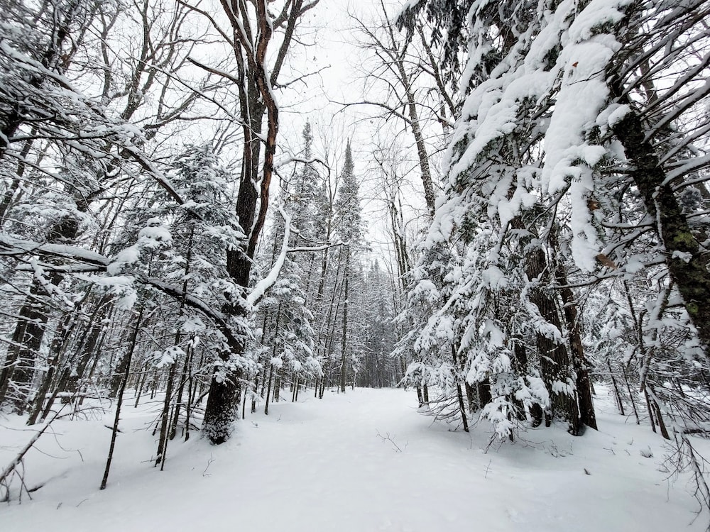 Holiday Acres Resort - photo 60