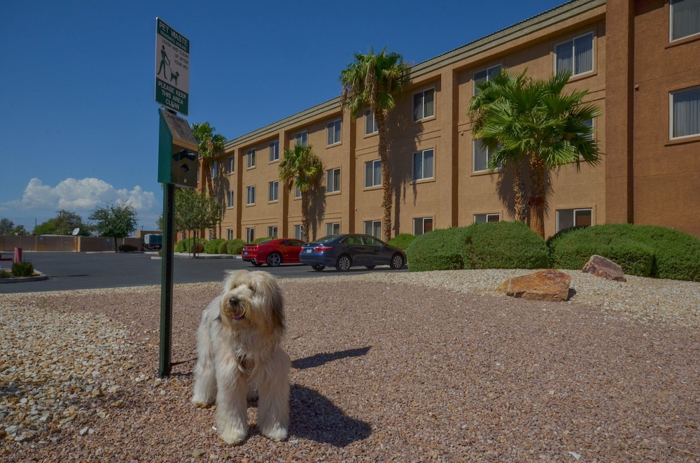 Holiday Inn Express Las Vegas Nellis by IHG - photo 32