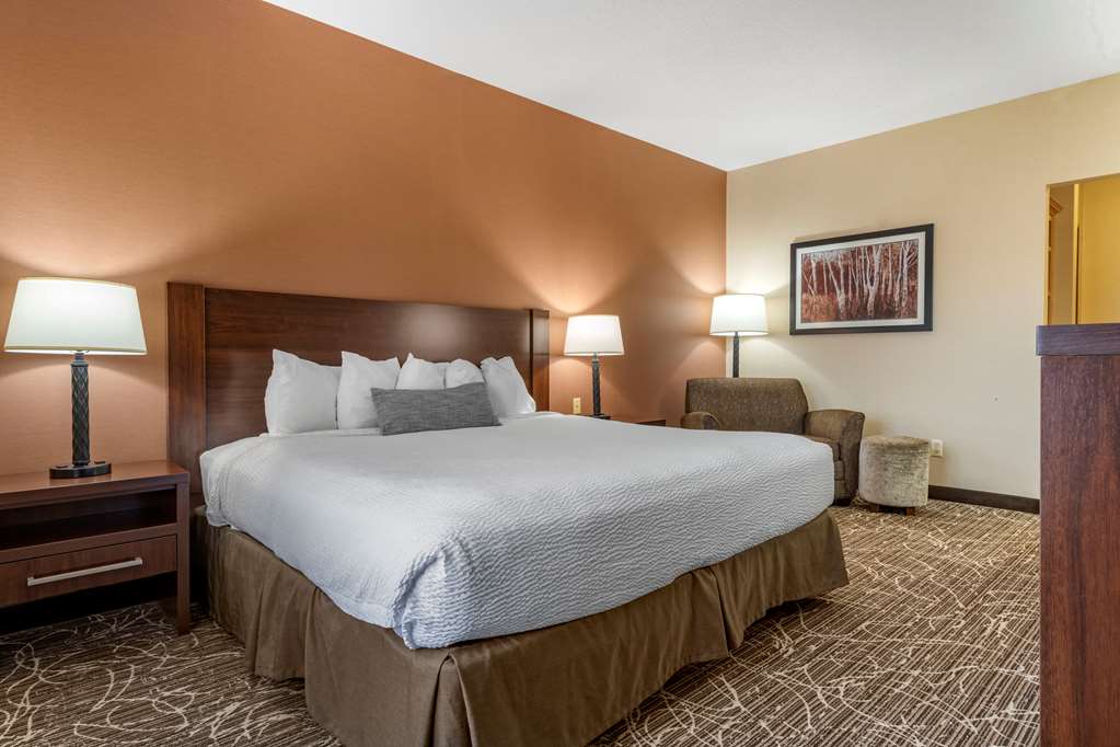Best Western Plus Chelsea Hotel - photo 16