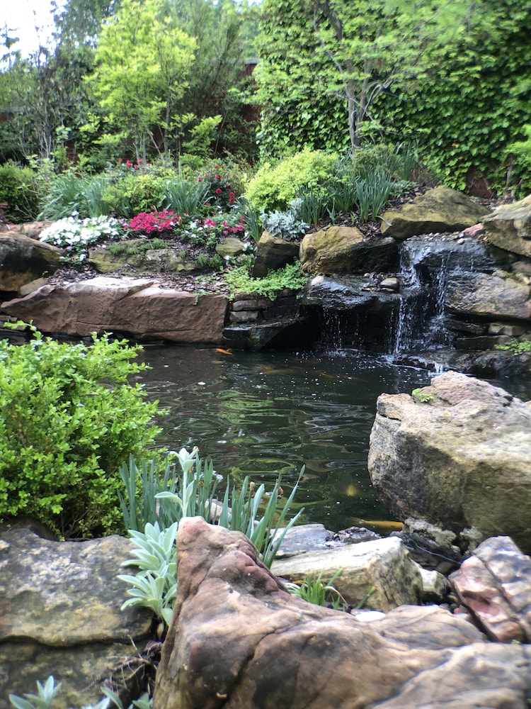 Dominion Gardens and Hotel - photo 55