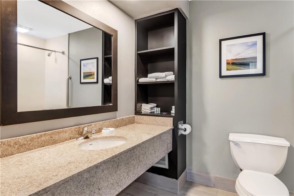 Best Western Rochester Hotel Mayo Clinic Area St. Marys - photo 13