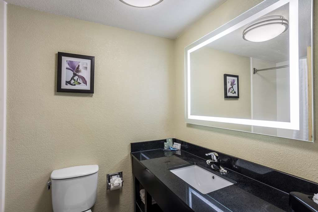 Best Western Harrisburg North Hotel - photo 25