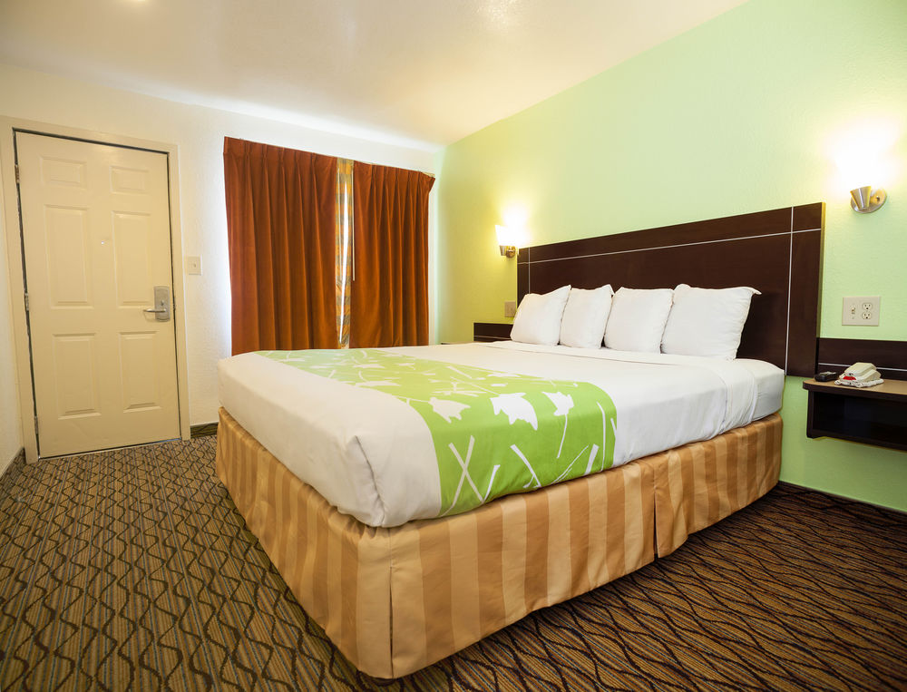 Piedmont Place - photo 19