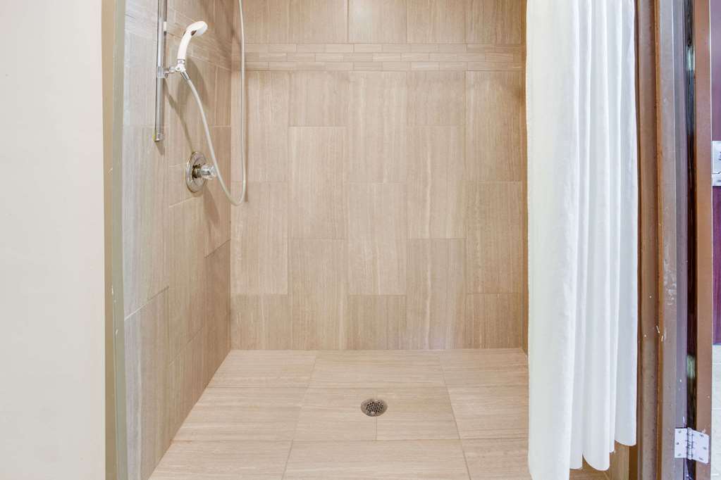 Baymont by Wyndham Kalamazoo West - photo 4