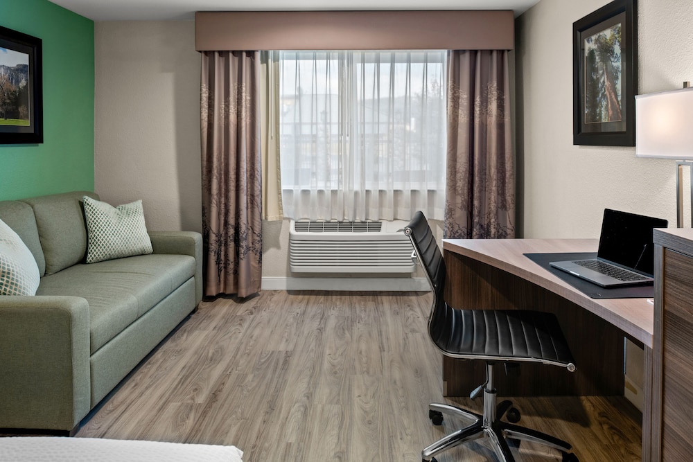 Yosemite Southgate Hotel & Suites - photo 11