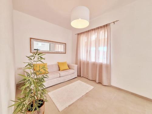 Solea Apartment — Budoni — photo 4