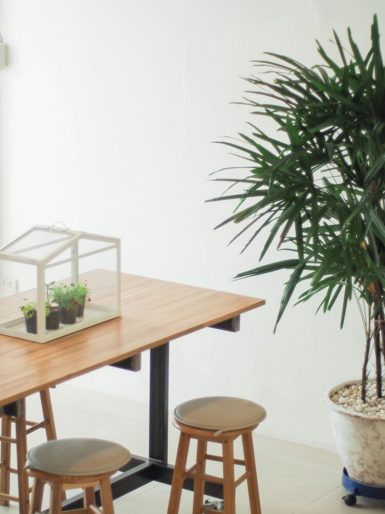Mistletoe Bakery & Hostel