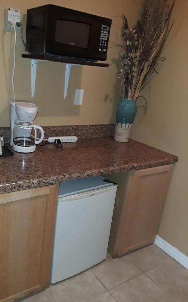 Budget Lodge of Mount Dora - photo 27