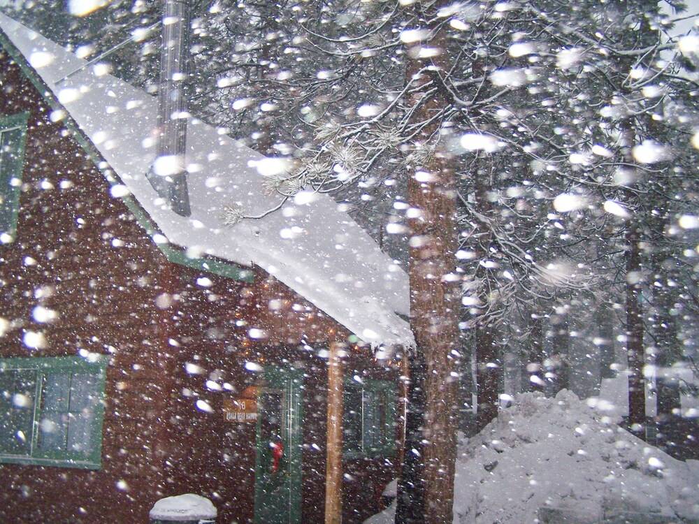 Golden Bear Cottages - photo 71