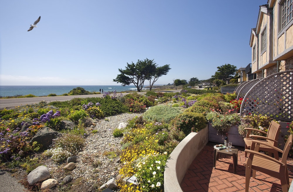 Pelican Inn & Suites - photo 5