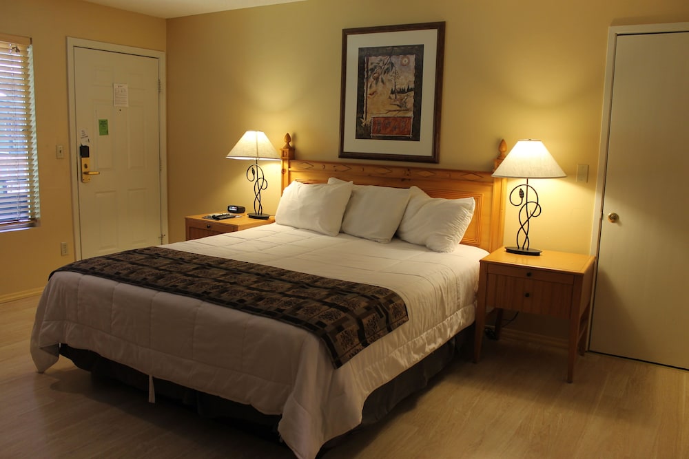 Big Pines Mountain House - photo 12