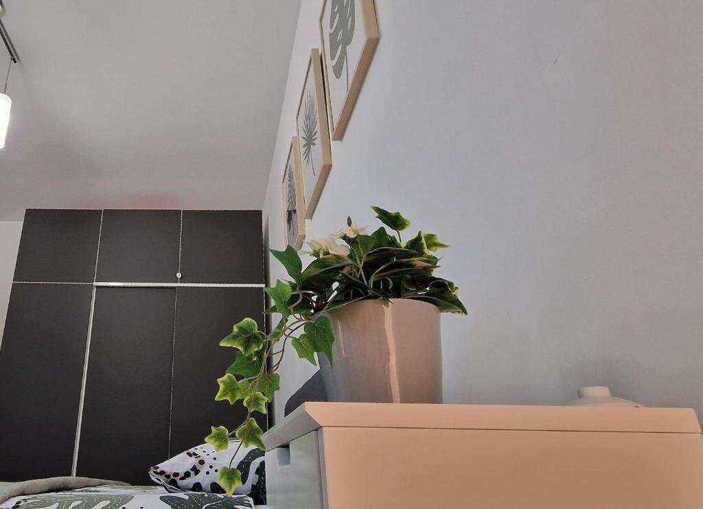 Amazing Apartament with Garden Bucharest Airport Self check in — Otopeni — photo 2