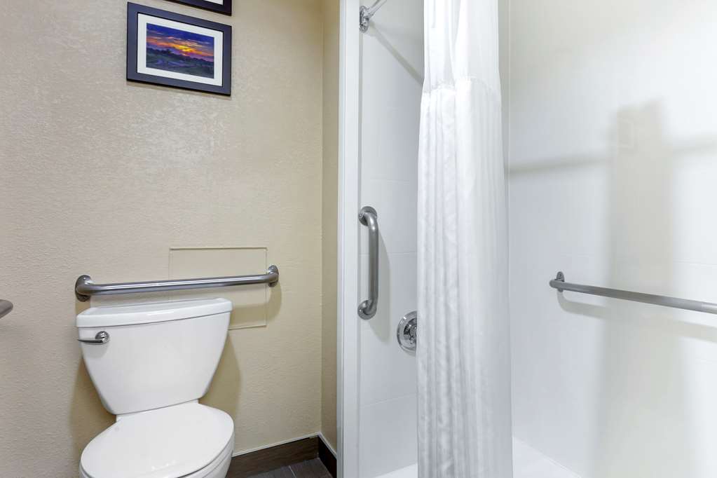 Comfort Inn Hoffman Estates Schaumburg - photo 9