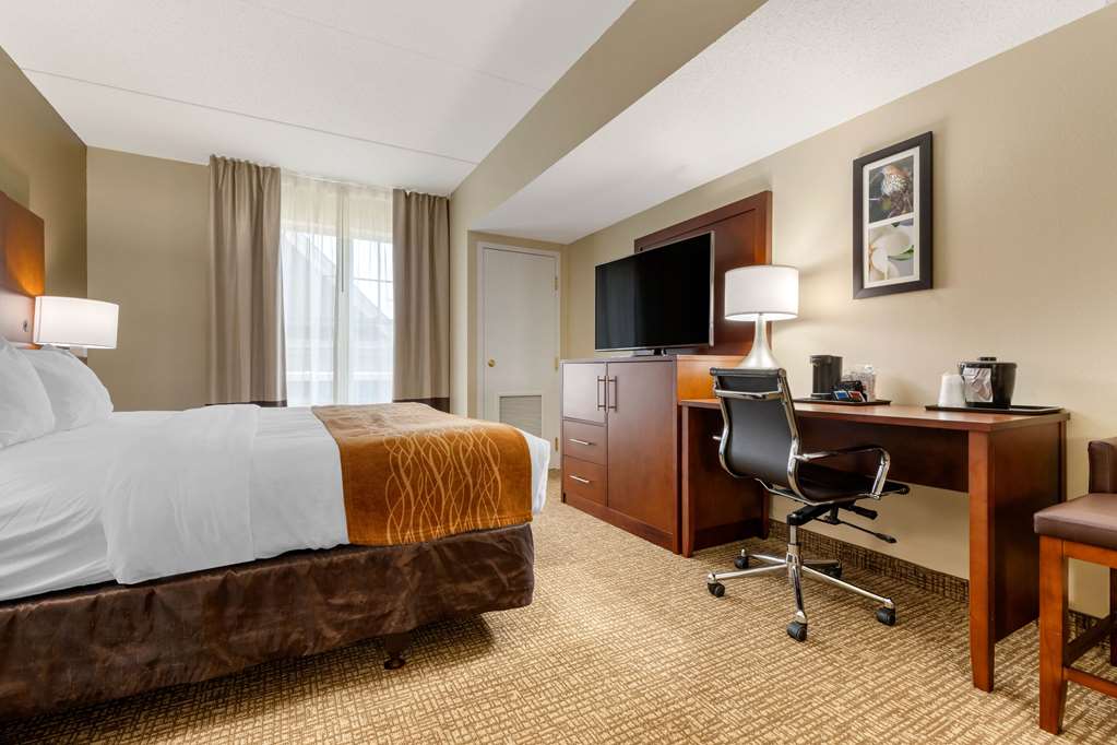 Comfort Inn & Suites Cordele - photo 18