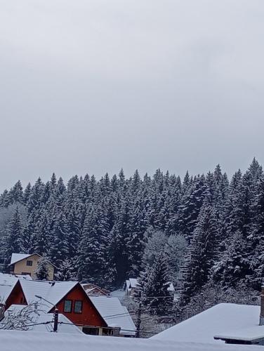 Casele Manea in Busteni, Romania