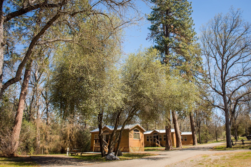 Sierra Meadows - photo 121
