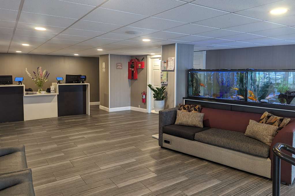 Quality Inn & Suites Northampton Amherst — hotel in Northampton