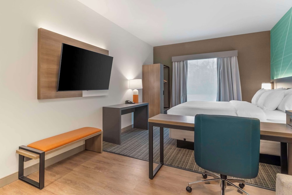 Comfort Suites Gatlinburg Downtown Convention Center - photo 44