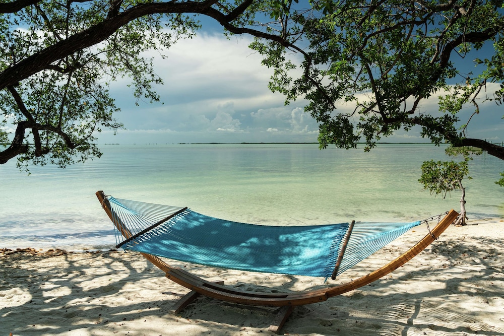 Baker's Cay Resort Key Largo Curio Collection by Hilton - photo 87