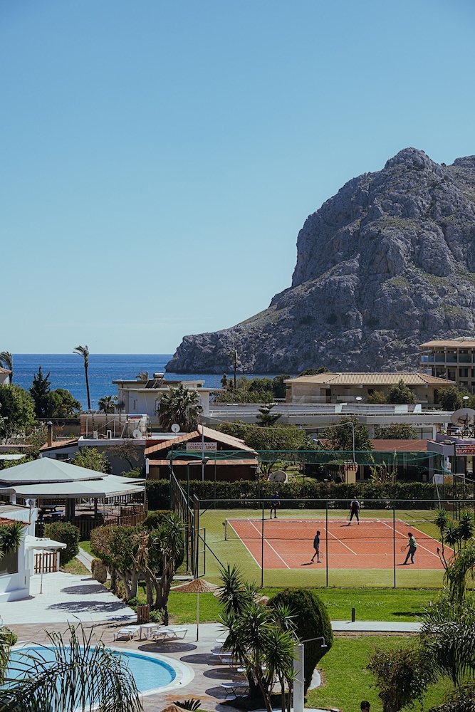 שטחי חוץ / גן