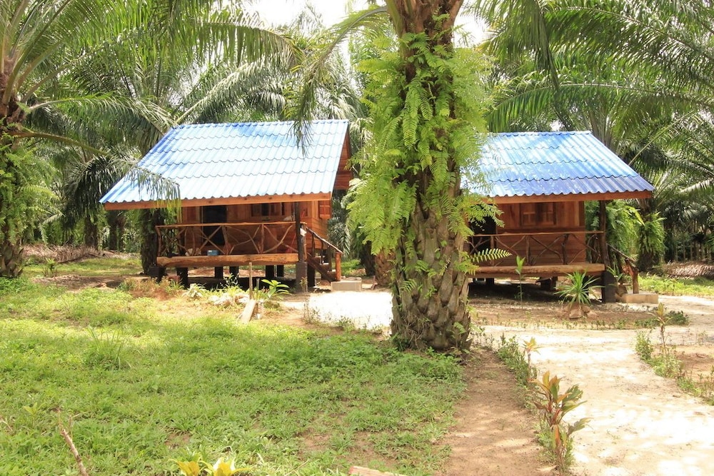 Khaosok Palmview — Phanom — photo 4