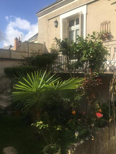 Le Clos Saint Etienne in Chinon, France