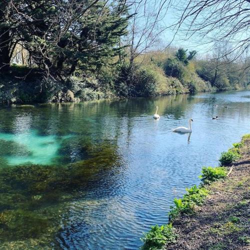 Canal view 2 bedrooms end of terrace in Chichester, United Kingdom