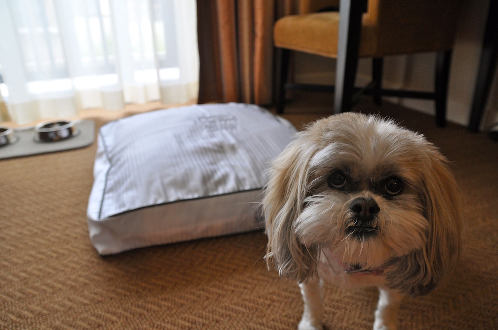 Hilton Omaha - photo 52
