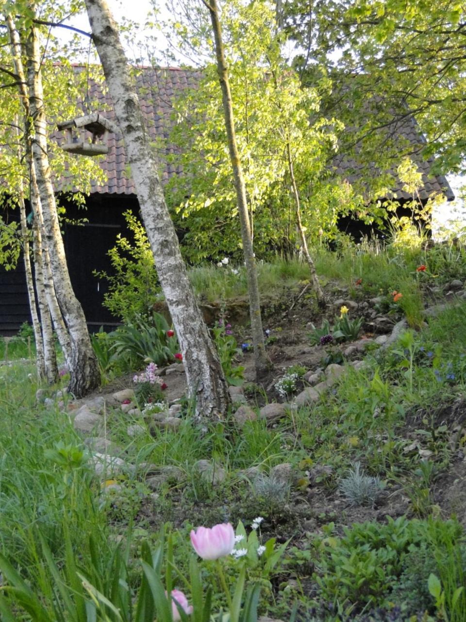 Agroturystyka Zywe in Kruklanki, Poland