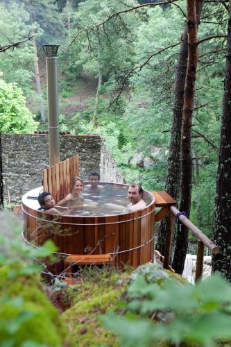 La Roche Aux Fee — hotel in Tence