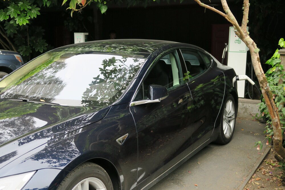 The Stanford Inn By The Sea Eco Resort - photo 42
