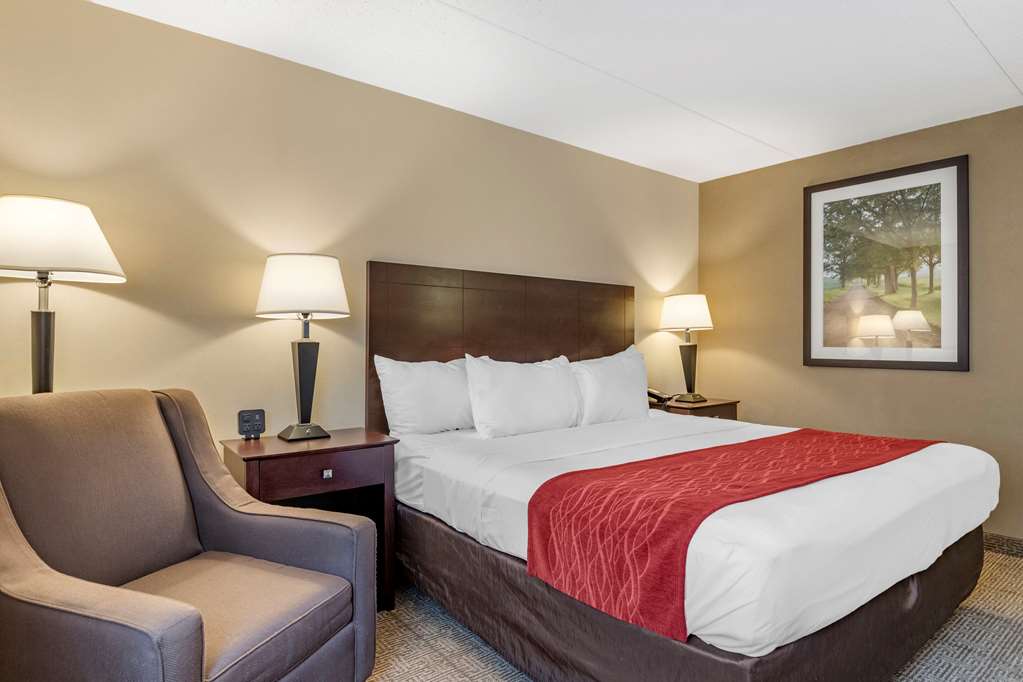 Comfort Inn Lansing West - photo 24