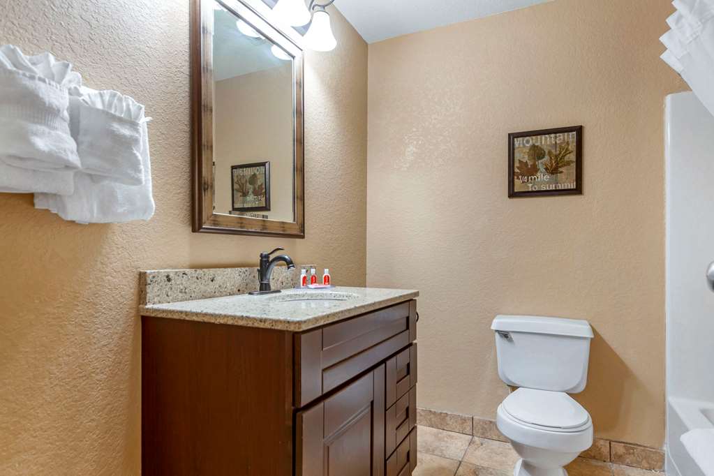 Econo Lodge Black Hills - photo 11