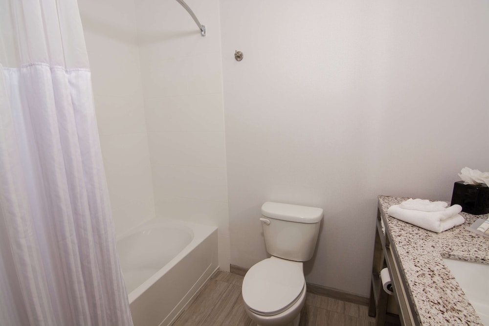 Hilton Garden Inn Tampa Suncoast Parkway - photo 45