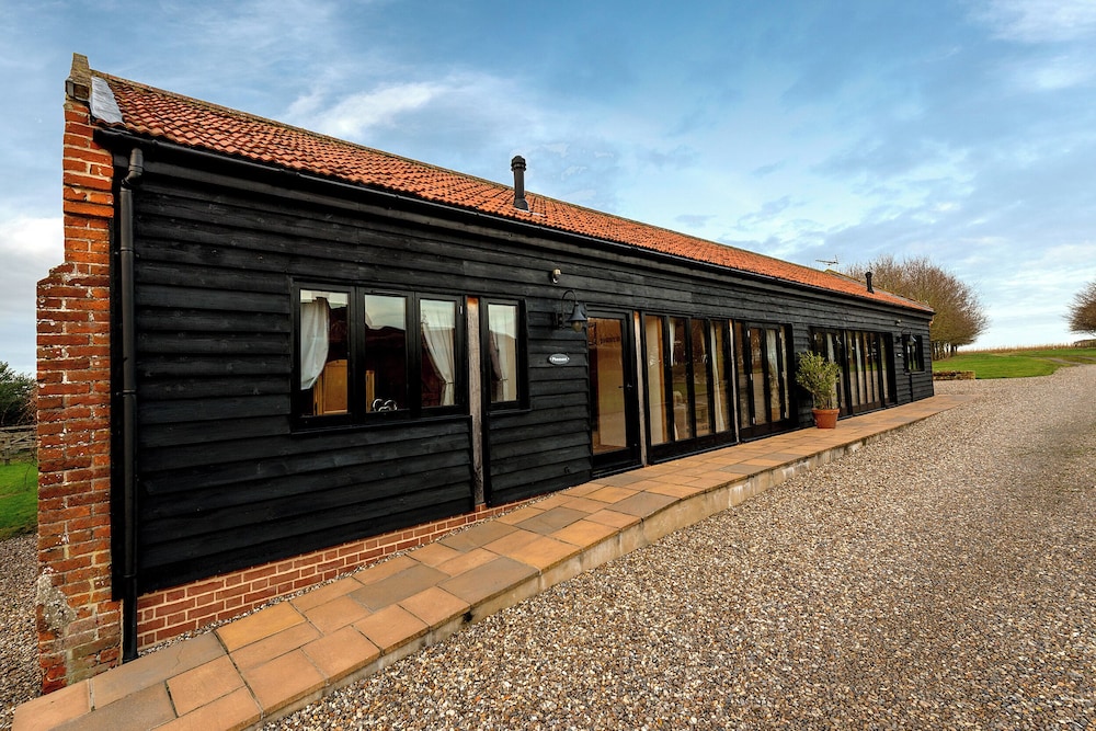 Pheasant in Beccles, United Kingdom