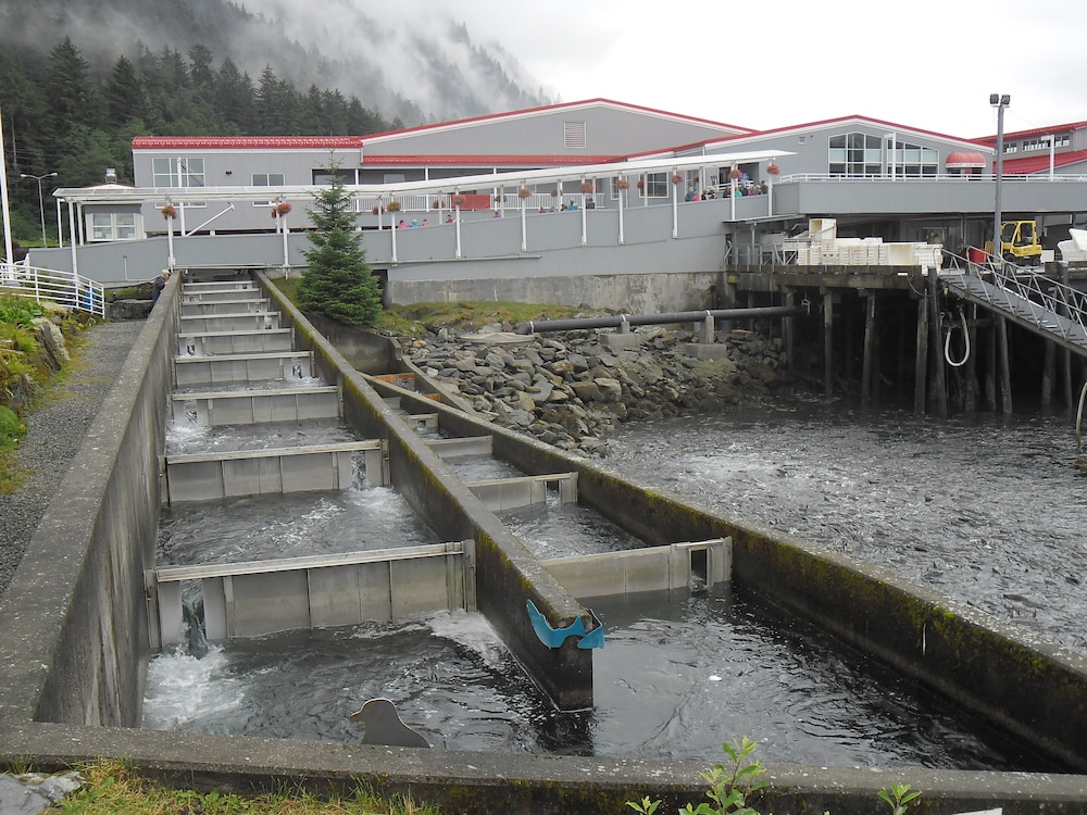 Alaskan Hotel and Bar - photo 106