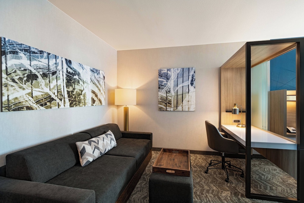SpringHill Suites by Marriott Dallas Richardson University Area - photo 9