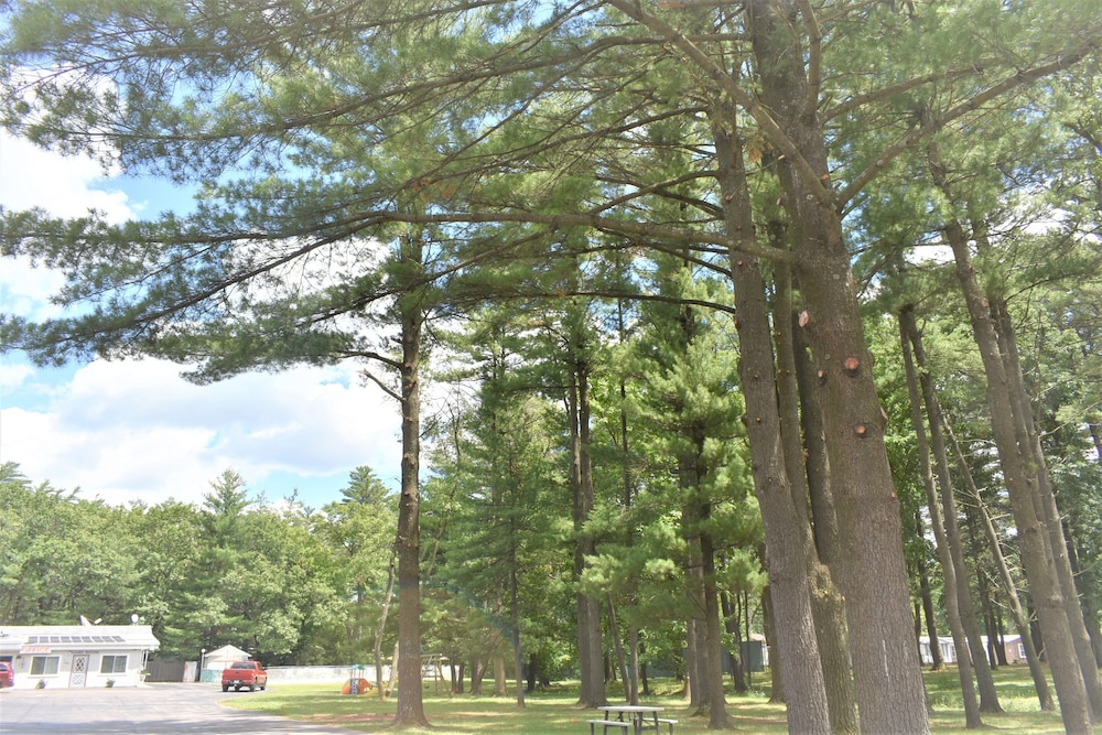 Lake Aire Motel - photo 16