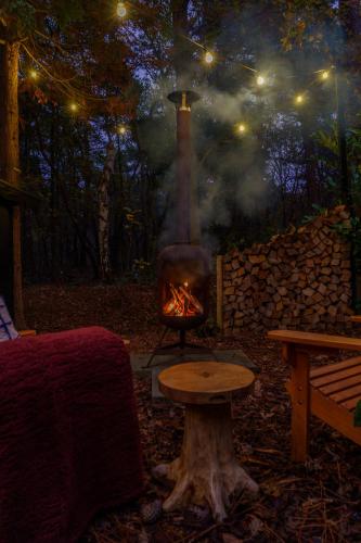 Bumblebee Cabin met privé sauna & vuurplaats — Diessen — photo 4