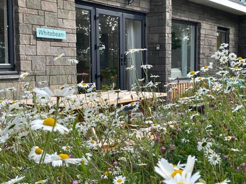 Whitebeam Moor and Sea Holidays beautiful views over Exmoor in Lynton, United Kingdom