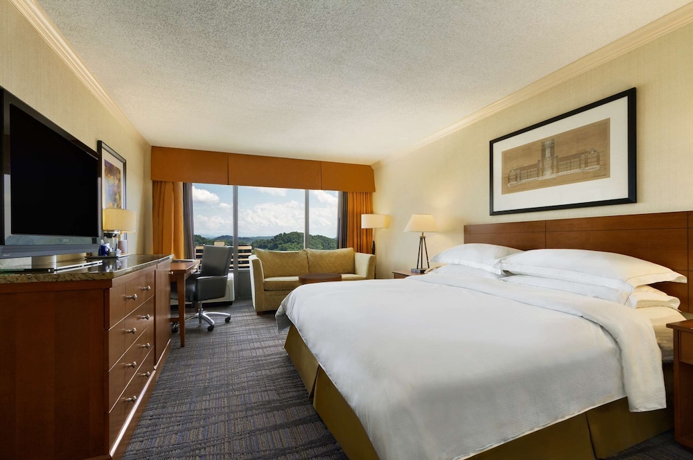 Hilton Knoxville - photo 4