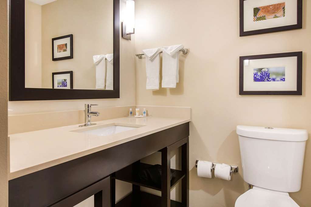 Comfort Suites South Austin - photo 22