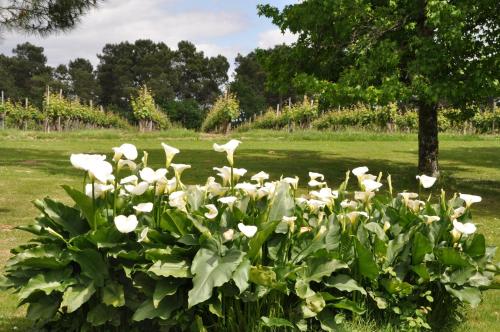 Domaine de Paguy — Roquefort — photo 5
